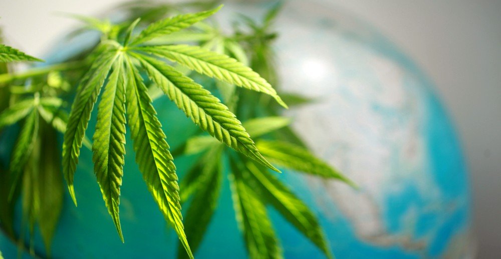 Medical Cannabis Worldwide vs. Turkey: What’s Changing in 2025