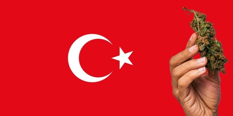 The Future of Cannabis Legalization in Europe & What It Means for Turkey