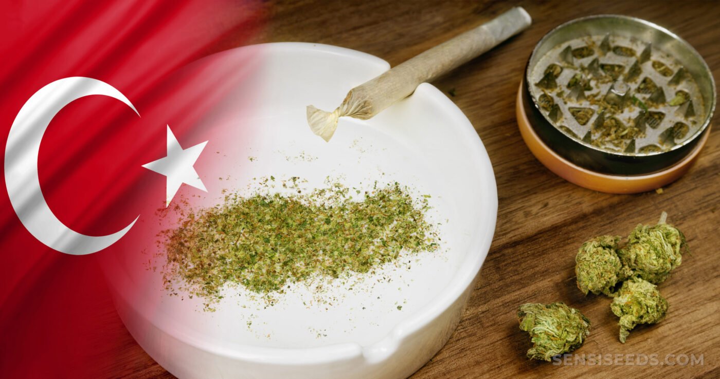 The Rise of CBD & Legal Hemp Alternatives in Turkey