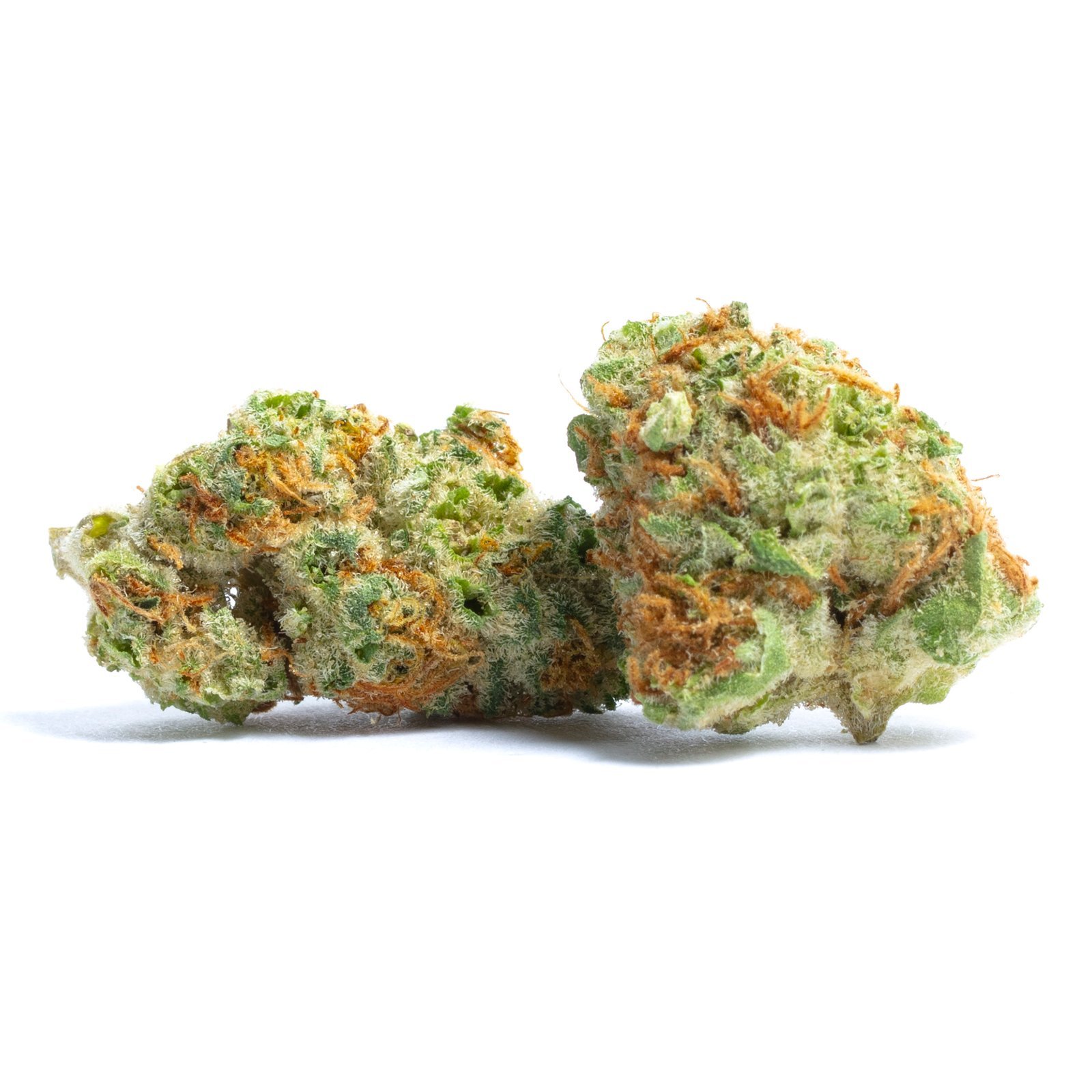 Buy Papaya Strain in Turkey