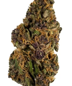 Buy Forbidden Fruit Istanbul