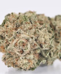 Buy Gorilla Glue Strain Istanbul