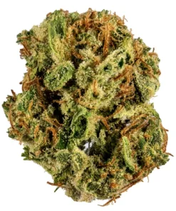 Buy Gumbo strain Istanbul