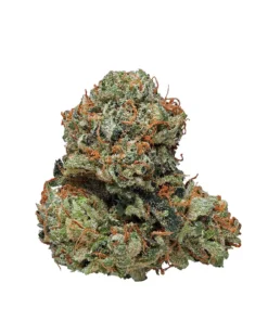 Buy Kosher Kush Istanbul