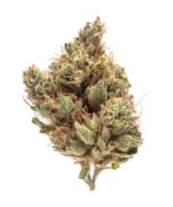Buy Platinum OG Strain Istanbul