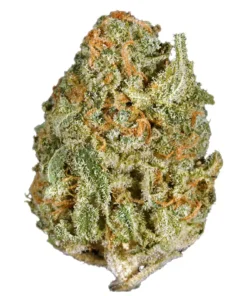 Buy White Rhino Strain istanbul