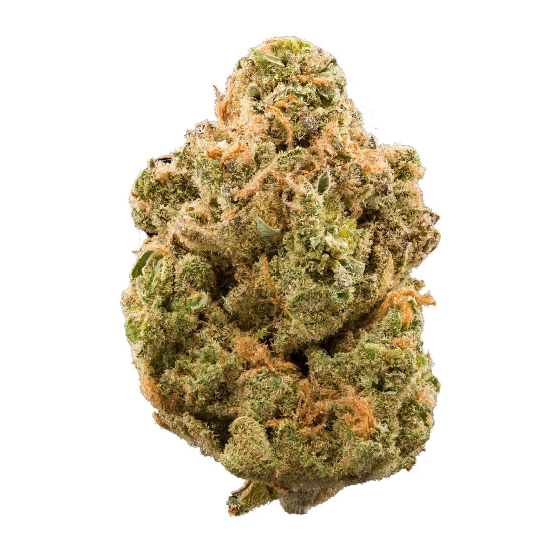 Buy Girls Scout Cookies Strain